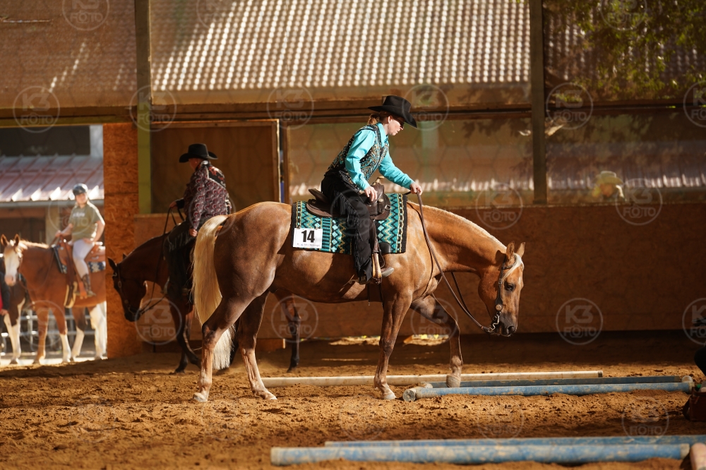 s_A9_07425.jpg